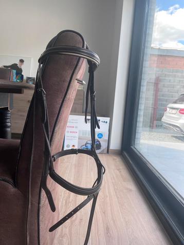 Kopstuk full beschikbaar voor biedingen