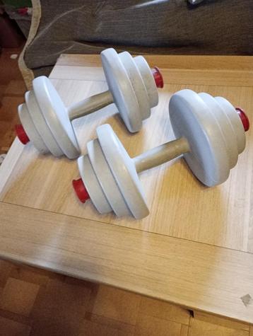 Sport en fitness materiaal: 2 halters 8€ en 1 stepper 5€  beschikbaar voor biedingen