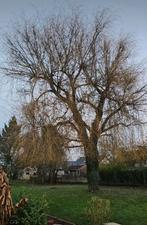 Gazon préparation et la pause, Jardin & Terrasse, Gazon & Gazon artificiel, Enlèvement ou Envoi