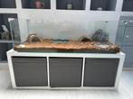 Terrarium ou aquarium zolux, Ophalen, Zo goed als nieuw