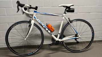 BULLS Pro RR Dessert Falcon 1 racefiets beschikbaar voor biedingen