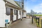 Weiland met piste en 4 paardenstallen, Dieren en Toebehoren, Stalling en Weidegang, Weidegang