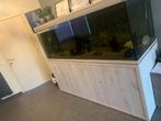 Aquarium avec armoire à vendre sans poisson, Animaux & Accessoires, Poissons | Aquariums & Accessoires, Enlèvement, Utilisé, Plante(s), Pierre ou Bois