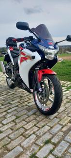 Honda CBR 250R ABS IN VOLLEDIGE NIEUWSTAAT, COLLECTERSITEM, 250 cc, 1 cilinder, 12 t/m 35 kW, Sport