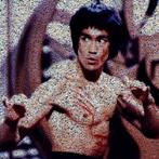 Bruce Lee Crypto, Ophalen of Verzenden