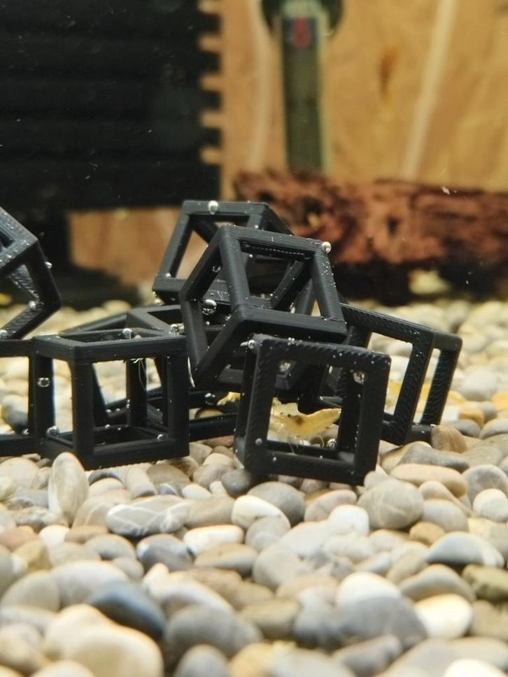 Garnalen kubussen, Dieren en Toebehoren, Vissen | Aquaria en Toebehoren, Zo goed als nieuw, Ophalen of Verzenden