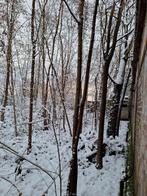 gratis hout zelf afhalen  meer info tel 0492 40 43 43, Tuin en Terras, Ophalen of Verzenden