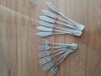 Visbestek, Huis en Inrichting, Ophalen of Verzenden, Zo goed als nieuw, Inox of Chroom, Bestekset