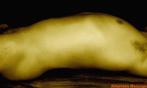 (h)éérlijke massage voor heren, te Roeselare, lees even :-), Diensten en Vakmensen, Welzijn | Masseurs en Massagesalons, Ontspanningsmassage