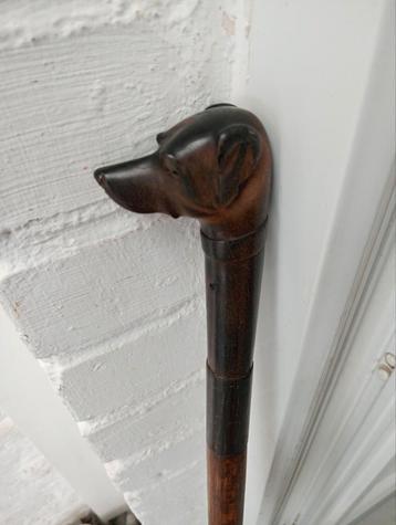 Hondenstok met hoorn van 90 cm beschikbaar voor biedingen