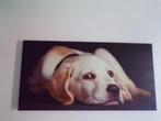 wanddecoratie canvas hond 80cm op 40 cm (enkel ophalen), Maison & Meubles, Accessoires pour la Maison | Décorations murale, Comme neuf