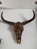 Goud/brons buffel skull, Ophalen, Zo goed als nieuw