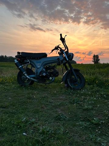 Dax 50cc met carbon uitlaat, Enlèvement, Comme neuf, Bluroc