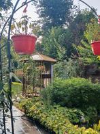 Twee prachtige zeshoekige volières, Dieren en Toebehoren, Ophalen, Gebruikt, Overige typen