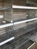Vogelkooien NOG MAAR 15 STUKS BESCHIKBAAR!!!, Dieren en Toebehoren, Ophalen