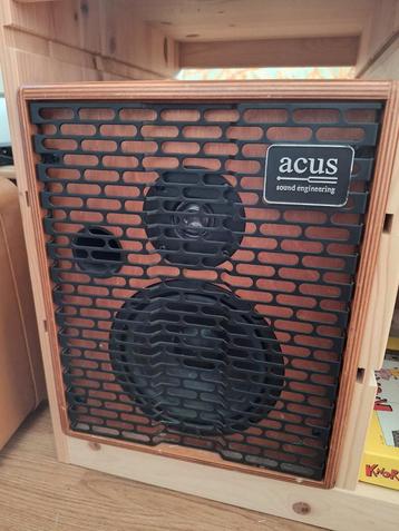 Versterker Acus oneforstrings6T beschikbaar voor biedingen
