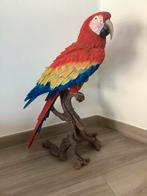 Beeld van geelvleugelara zittend op tak, Tuin en Terras, Tuinbeelden, Ophalen, Nieuw, Dierenbeeld