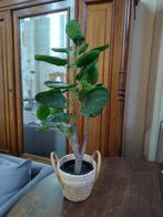 Stijlvolle plastic plant, Huis en Inrichting, Ophalen, Zo goed als nieuw, Binnen