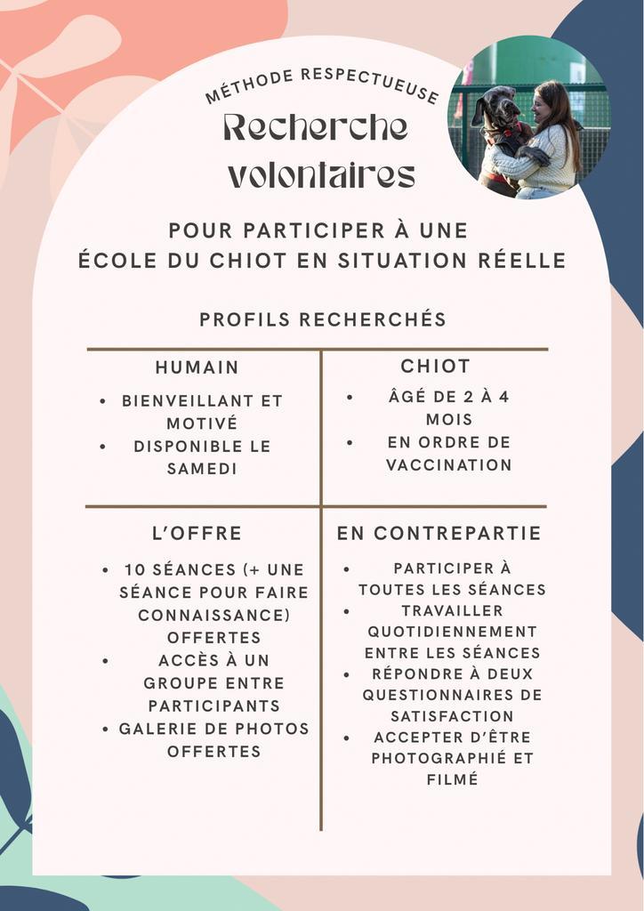 Cherche volontaires pour une école du chiot, Animaux & Accessoires, Accessoires pour chiens, Neuf, Enlèvement