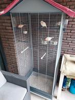 Te koop 3 Kanaries + 2 kooien af te halen in herentals, Dieren en Toebehoren, Vogels | Hokken en Kooien, Ophalen of Verzenden