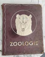 Zoo, Ophalen of Verzenden