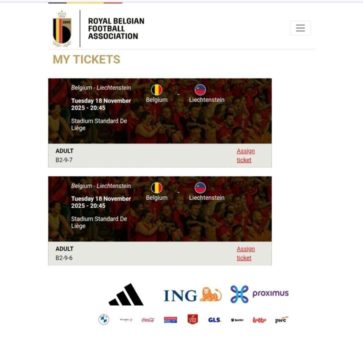 2 tickets red devils belgique Liechtenstein 18 novembre 2025, Tickets en Kaartjes, Sport | Voetbal, Twee personen, November