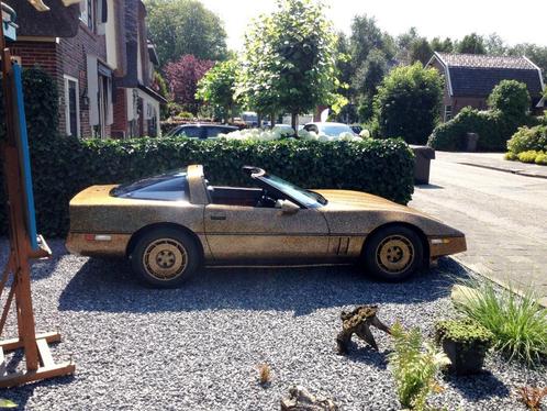 Bekendste  Golden Art Corvette ter wereld staat in Nederland, Auto's, Chevrolet, Particulier, Corvette, Ophalen