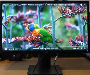 Moniteur DELL P2317H - 23 pouces disponible aux enchères