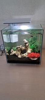 Aquarium superfish 60 qubic pro, Dieren en Toebehoren, Ophalen