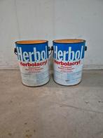 Herbol Acryl 2,5 L — Oranje verf
(2 stuks), Doe-het-zelf en Bouw, Verf, Beits en Lak, Ophalen of Verzenden, Nieuw, Oranje, Verf