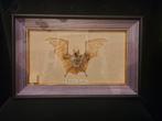 Ingelijste Vleermuis – The Epauleted Bat (Epomophorus), Enlèvement ou Envoi, Comme neuf, Autres, Animal empaillé
