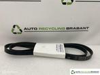 Multiriem Porsche 911 996 Cayman Boxster NIEUW 99610215167, Auto-onderdelen, Motor en Toebehoren, Porsche, Nieuw, Ophalen of Verzenden