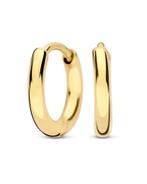 Oreli oorbellen, Hangers, Nieuw, Ophalen of Verzenden, Goud