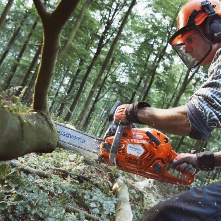 Gratis bomen zagen - in ruil voor het brandhout, Tuin en Terras, Brandhout, Stammen, Ophalen