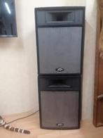  2x peavey pro 15 speakers  , Audio, Tv en Foto, Gebruikt, 120 watt of meer, Front, Rear of Stereo speakers, Ophalen