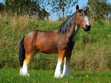 Paardenbeeld in Kleur - 110 cm - Polystone beschikbaar voor biedingen