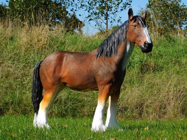 Paardenbeeld in Kleur - 110 cm - Polystone, Tuin en Terras, Tuinbeelden, Nieuw, Ophalen of Verzenden