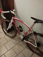 Vélo course, Enlèvement, Carbone