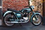 Triumph Thunderbird 6T 1956, Motoren, 2 cilinders, Particulier, 650 cc, 12 t/m 35 kW