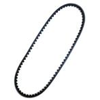 V - riem GCB10813 Classic Mini., Ophalen, Nieuw, Rover