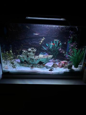 Aquarium 70 liter, Dieren en Toebehoren, Vissen | Aquaria en Toebehoren, Ophalen, Gebruikt