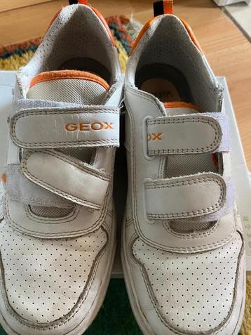 Geox schoenen, Garçon, Enlèvement, Utilisé, Chaussures de sport