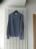 Trui maat L, H&M, Maat 42/44 (L), Ophalen of Verzenden, Zo goed als nieuw