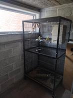 Grote vogel kooi, Dieren en Toebehoren, Ophalen, Zo goed als nieuw, Vogelkooi