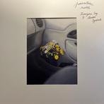 Zwangere Guy, Lander Gyselinck – Pourriture Noble, Ophalen of Verzenden, 2000 tot heden, Nieuw in verpakking, 10 inch