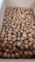 Okkernoten, Enlèvement