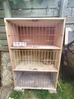 Kweekbak voor duiven, Dieren en Toebehoren, Vogels | Duiven, Geslacht onbekend, Overige soorten