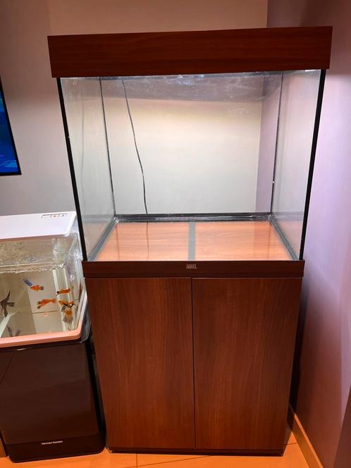 Juwel lido 120 met orginele interne filter pomp en verwarmer, Animaux & Accessoires, Poissons | Aquariums & Accessoires, Comme neuf