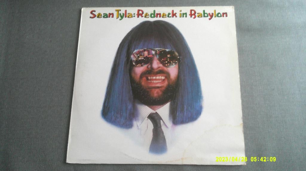 Sean Tyla – Redneck in Babylon (LP), CD & DVD, Vinyles | Rock, Utilisé, Enlèvement ou Envoi