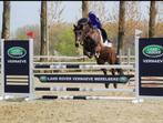 Geweldige Dpony merrie!, Dieren en Toebehoren, Pony's, Merrie, Gechipt, Springpony, 11 jaar of ouder